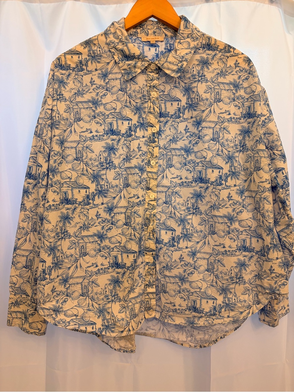 Skies Are Blue Cream Shirt with Blue Toile Print Chinoiserie. Large